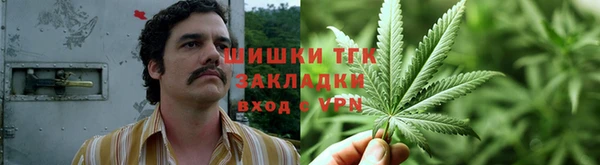 амф Саяногорск
