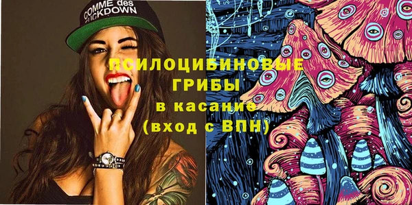 стаф Сатка