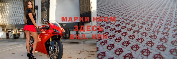 стаф Сатка