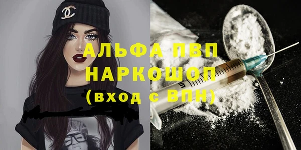 стаф Сатка