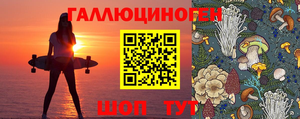 Тавда  Галлюциногенные грибы Psilocybine cubensis  Галлюциногенные грибы мухоморы  Вход с VPN 