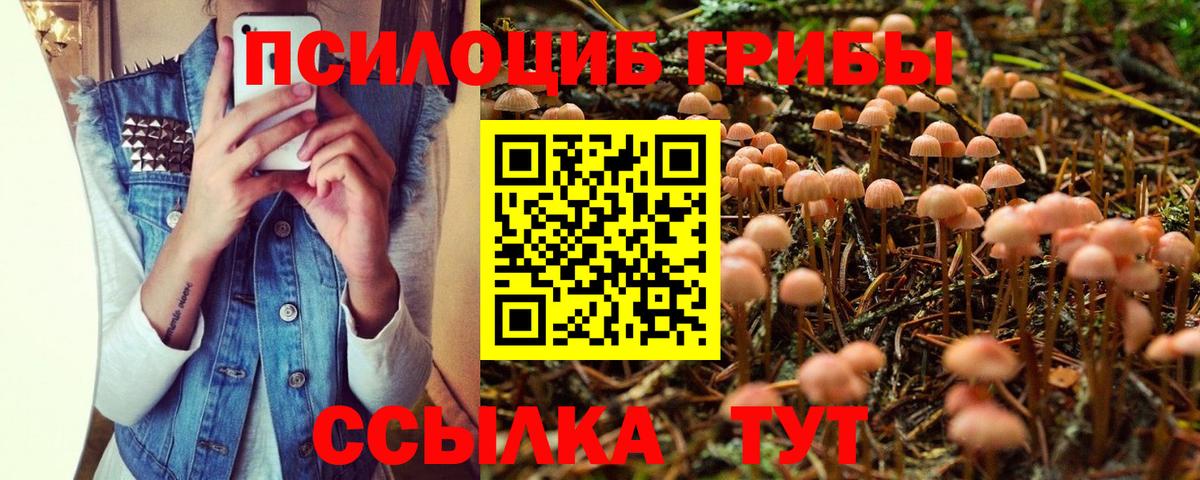 Псилоцибиновые грибы Psilocybine cubensis Тавда