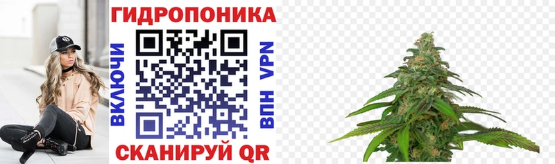 Каннабис марихуана купить цена Тавда