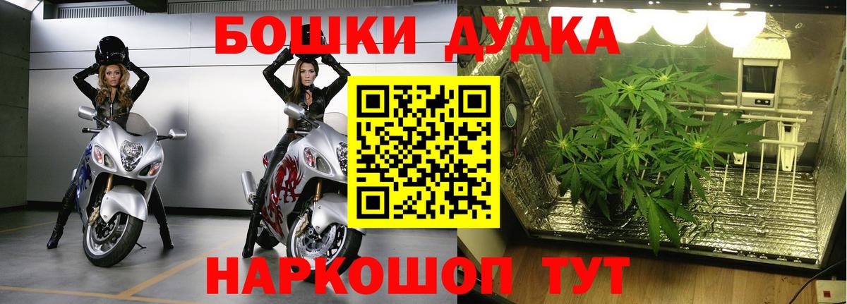 Бошки Шишки SATIVA & INDICA  МАРИХУАНА VHQ  Тавда  Каннабис сатива  Конопля гибрид 