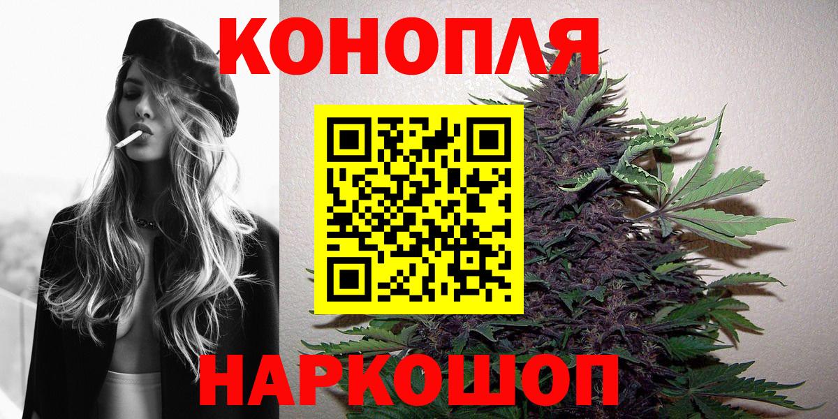 МЕФ Тавда