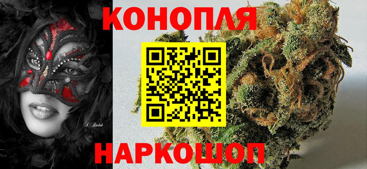 Бошки Шишки тримм  Вход с VPN  Тавда  Шишки марихуана конопля  Бошки марихуана конопля 